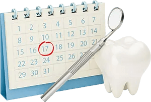 Calendar and Tooth